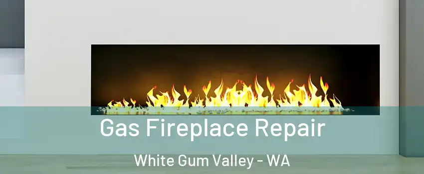 Gas Fireplace Repair White Gum Valley - WA