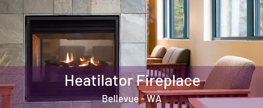 Heatilator Fireplace Bellevue - WA