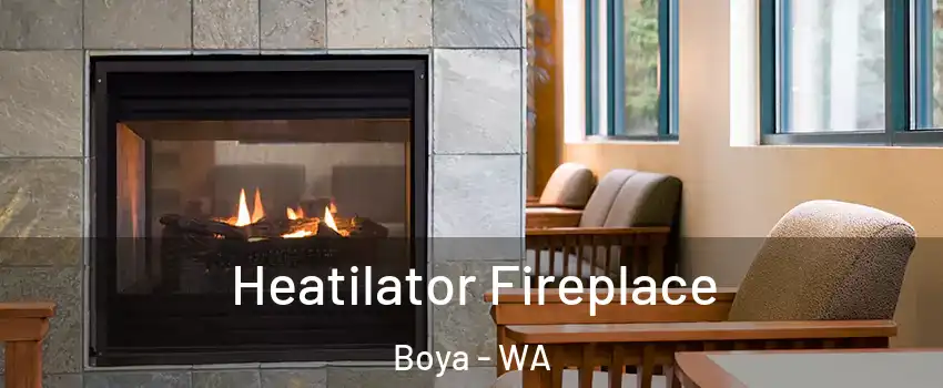 Heatilator Fireplace Boya - WA