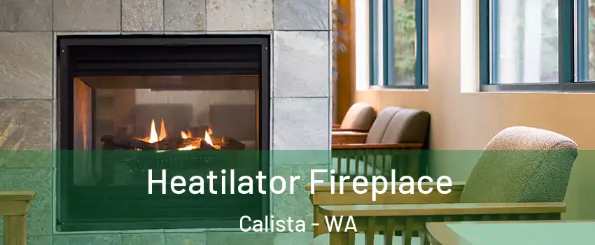 Heatilator Fireplace Calista - WA