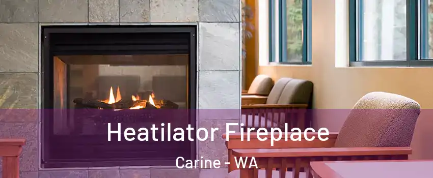 Heatilator Fireplace Carine - WA