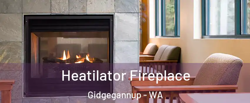 Heatilator Fireplace Gidgegannup - WA