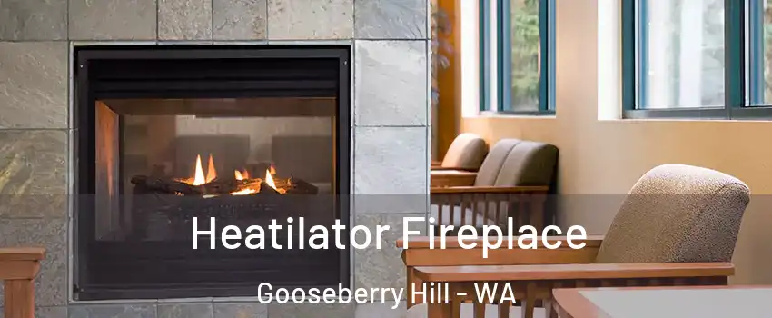 Heatilator Fireplace Gooseberry Hill - WA
