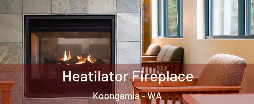 Heatilator Fireplace Koongamia - WA