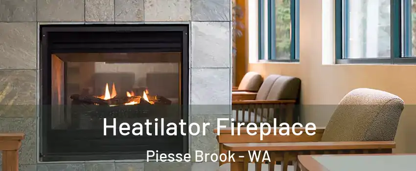  Heatilator Fireplace Piesse Brook - WA