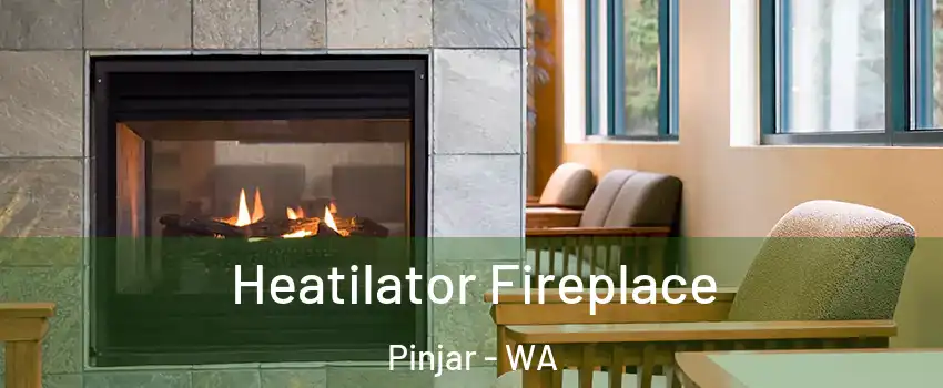 Heatilator Fireplace Pinjar - WA