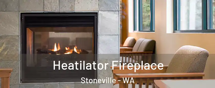 Heatilator Fireplace Stoneville - WA