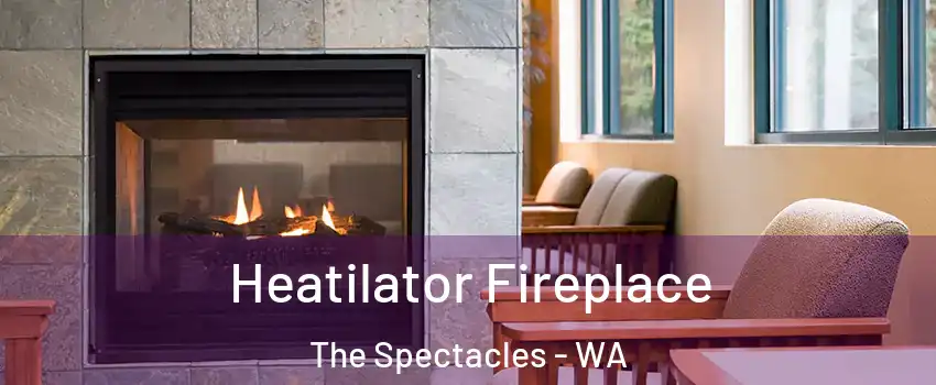 Heatilator Fireplace The Spectacles - WA
