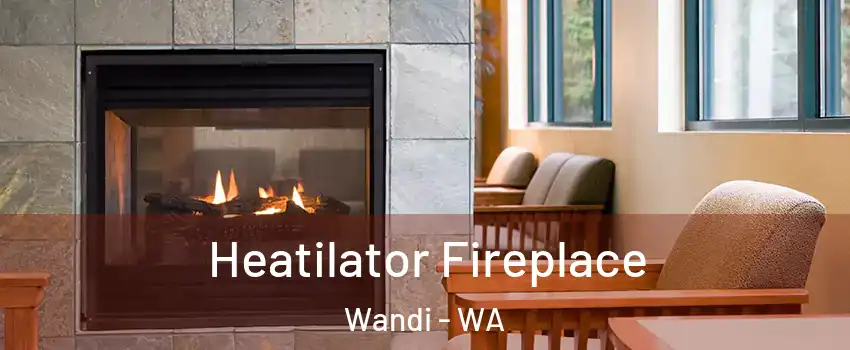 Heatilator Fireplace Wandi - WA