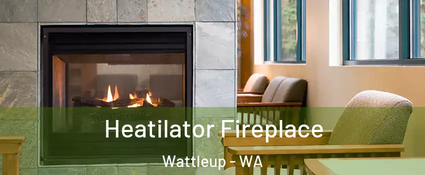 Heatilator Fireplace Wattleup - WA
