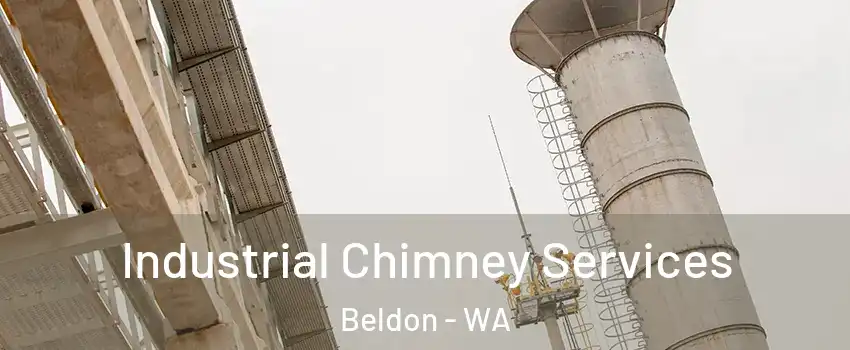 Industrial Chimney Services Beldon - WA