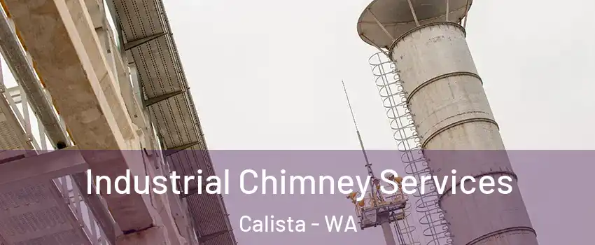 Industrial Chimney Services Calista - WA