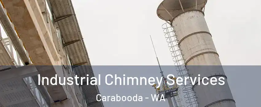 Industrial Chimney Services Carabooda - WA