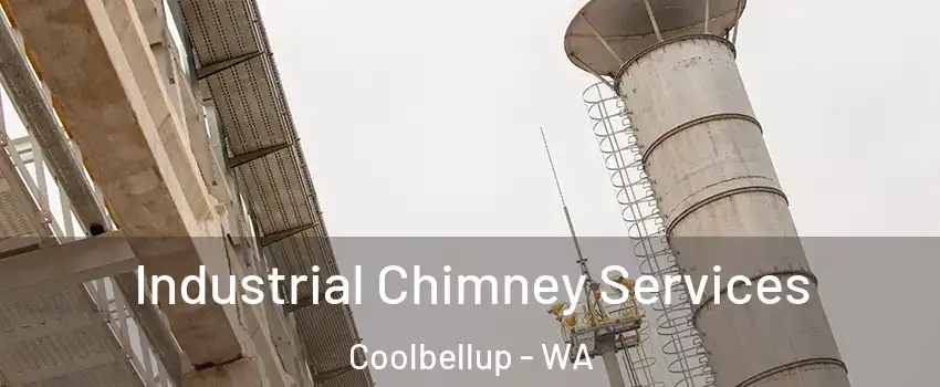 Industrial Chimney Services Coolbellup - WA