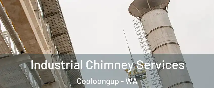 Industrial Chimney Services Cooloongup - WA