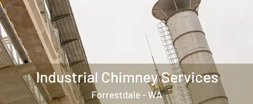 Industrial Chimney Services Forrestdale - WA