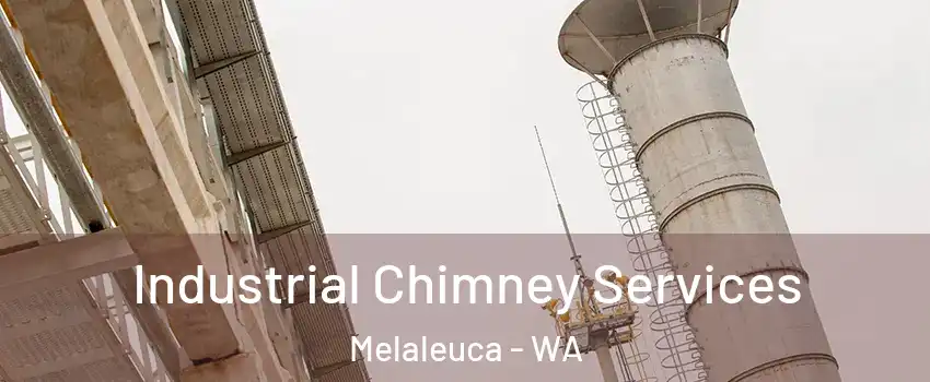 Industrial Chimney Services Melaleuca - WA