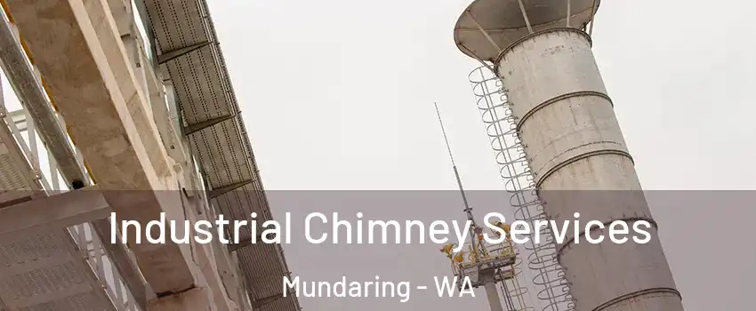 Industrial Chimney Services Mundaring - WA