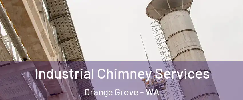 Industrial Chimney Services Orange Grove - WA