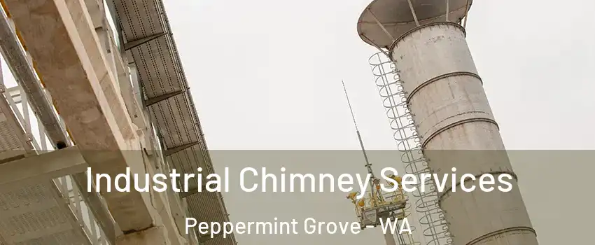 Industrial Chimney Services Peppermint Grove - WA