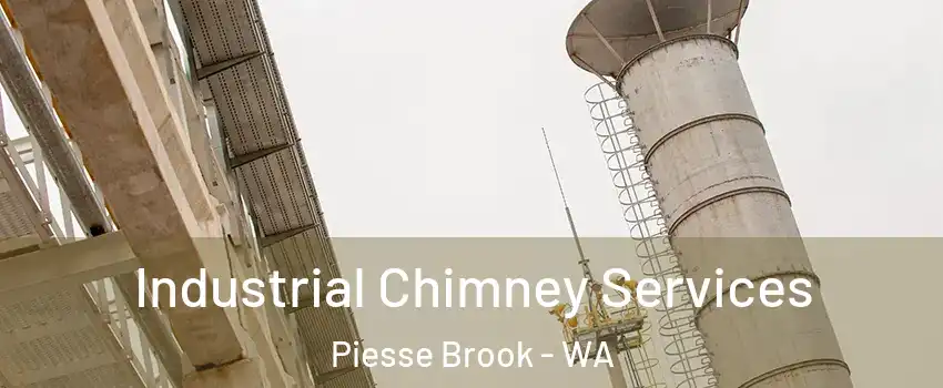 Industrial Chimney Services Piesse Brook - WA