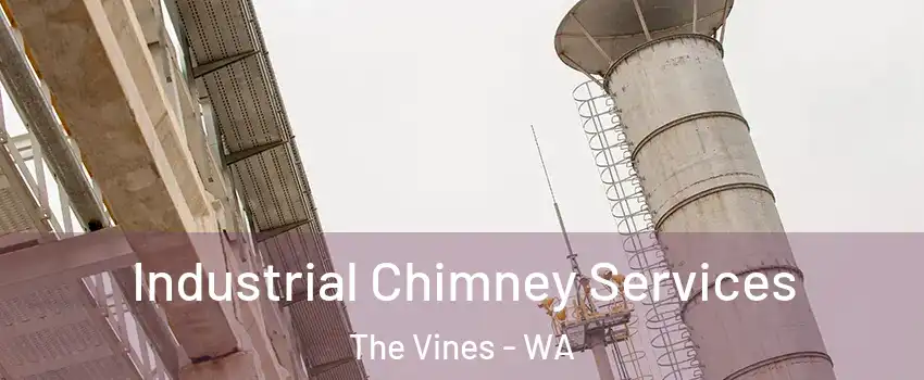 Industrial Chimney Services The Vines - WA