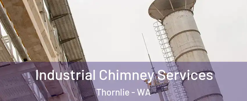 Industrial Chimney Services Thornlie - WA