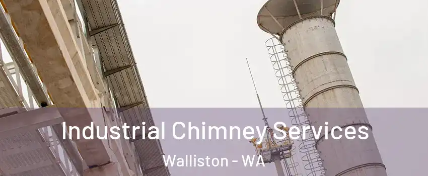 Industrial Chimney Services Walliston - WA