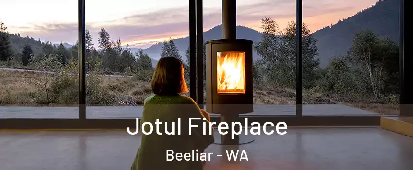 Jotul Fireplace Beeliar - WA