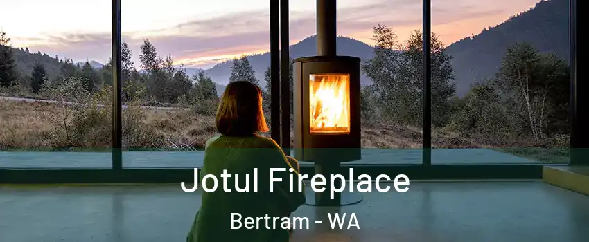 Jotul Fireplace Bertram - WA