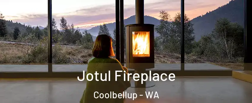  Jotul Fireplace Coolbellup - WA