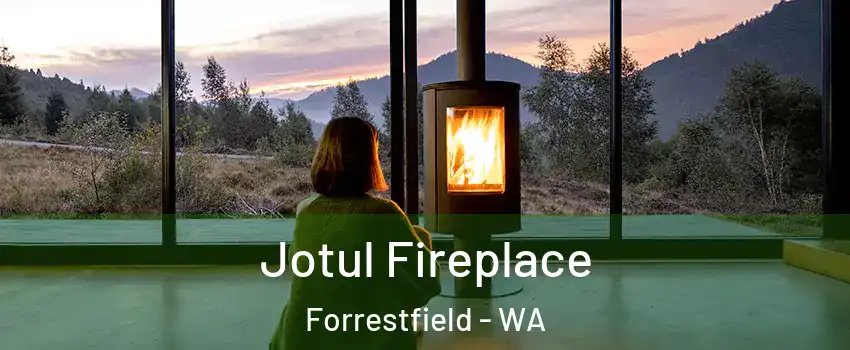 Jotul Fireplace Forrestfield - WA