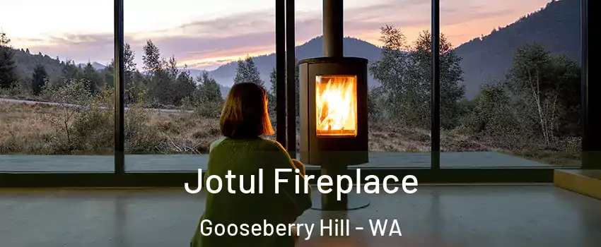 Jotul Fireplace Gooseberry Hill - WA