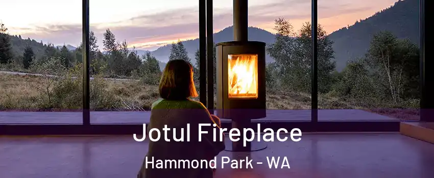 Jotul Fireplace Hammond Park - WA