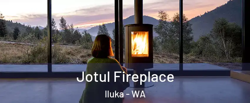 Jotul Fireplace Iluka - WA