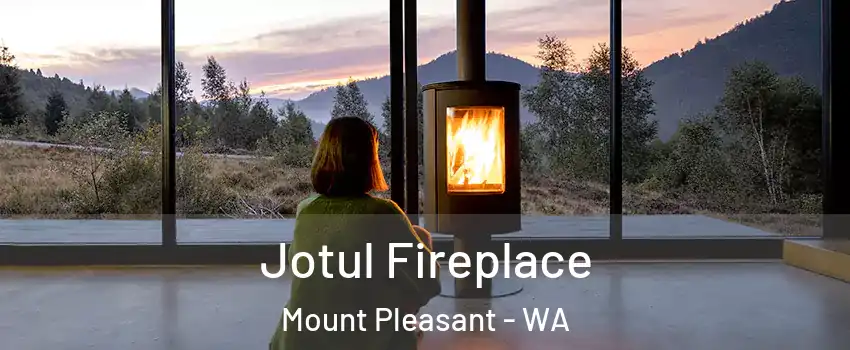 Jotul Fireplace Mount Pleasant - WA