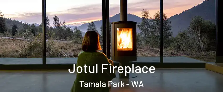Jotul Fireplace Tamala Park - WA