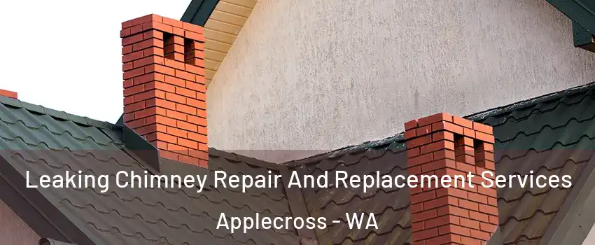 Leaking Chimney Repair And Replacement Services Applecross - WA