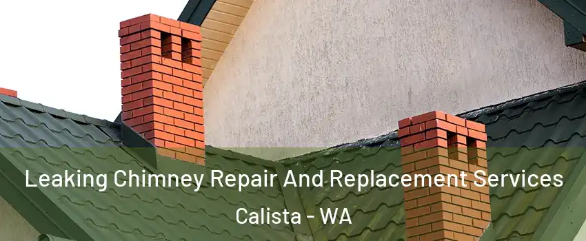 Leaking Chimney Repair And Replacement Services Calista - WA