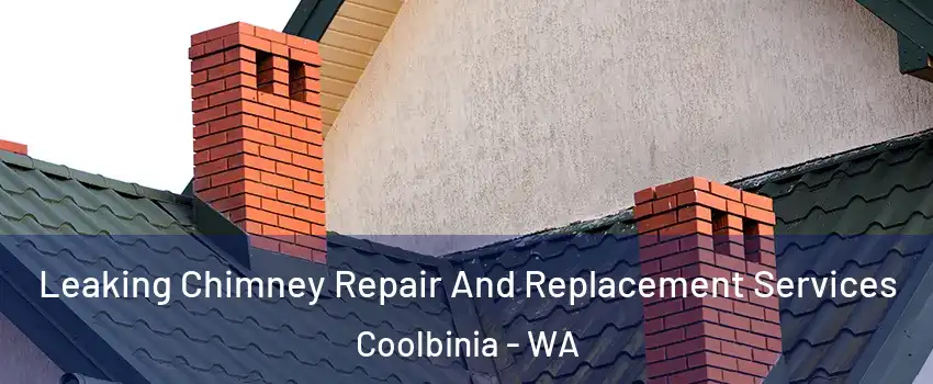 Leaking Chimney Repair And Replacement Services Coolbinia - WA