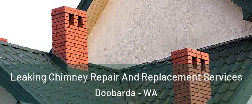 Leaking Chimney Repair And Replacement Services Doobarda - WA