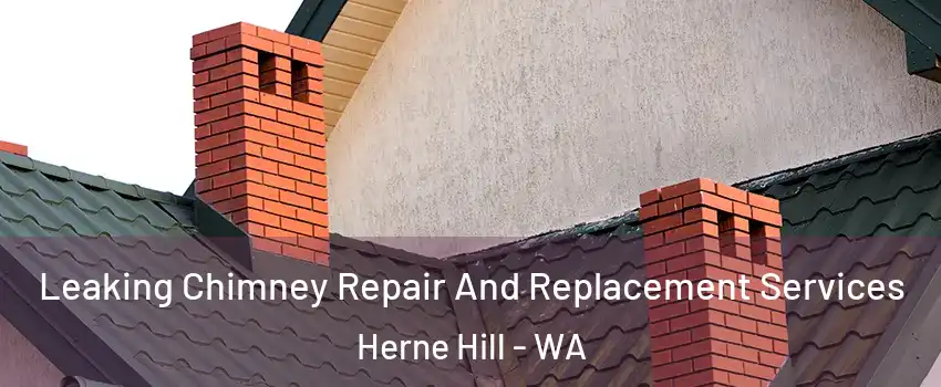 Leaking Chimney Repair And Replacement Services Herne Hill - WA