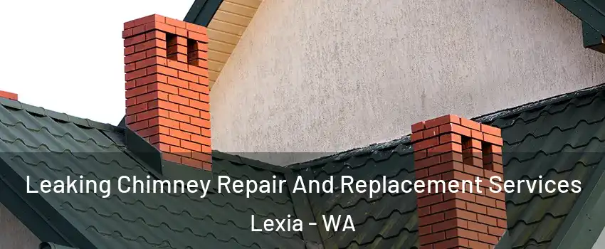 Leaking Chimney Repair And Replacement Services Lexia - WA