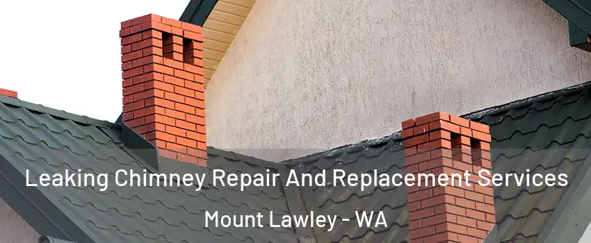 Leaking Chimney Repair And Replacement Services Mount Lawley - WA