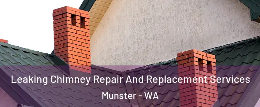 Leaking Chimney Repair And Replacement Services Munster - WA