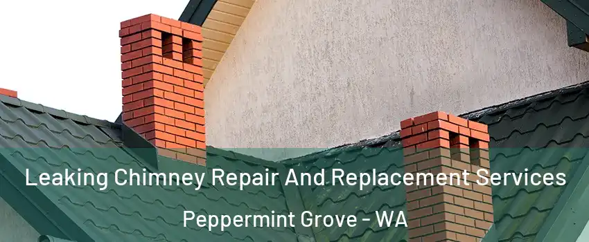 Leaking Chimney Repair And Replacement Services Peppermint Grove - WA