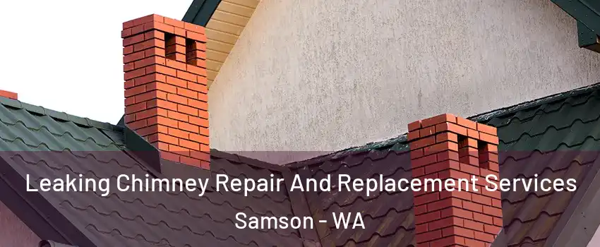 Leaking Chimney Repair And Replacement Services Samson - WA