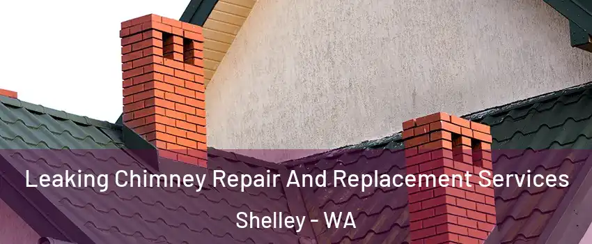  Leaking Chimney Repair And Replacement Services Shelley - WA