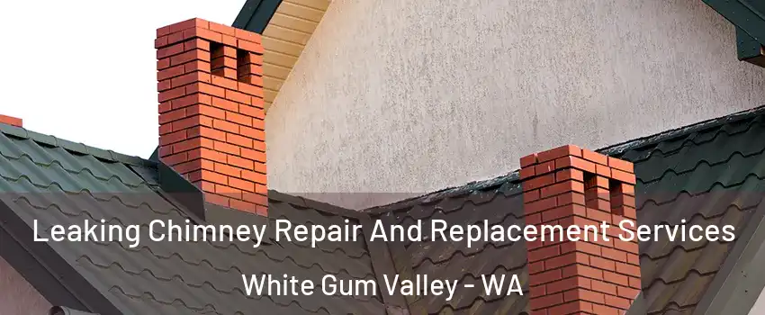 Leaking Chimney Repair And Replacement Services White Gum Valley - WA
