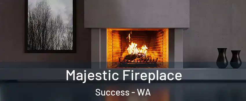 Majestic Fireplace Success - WA